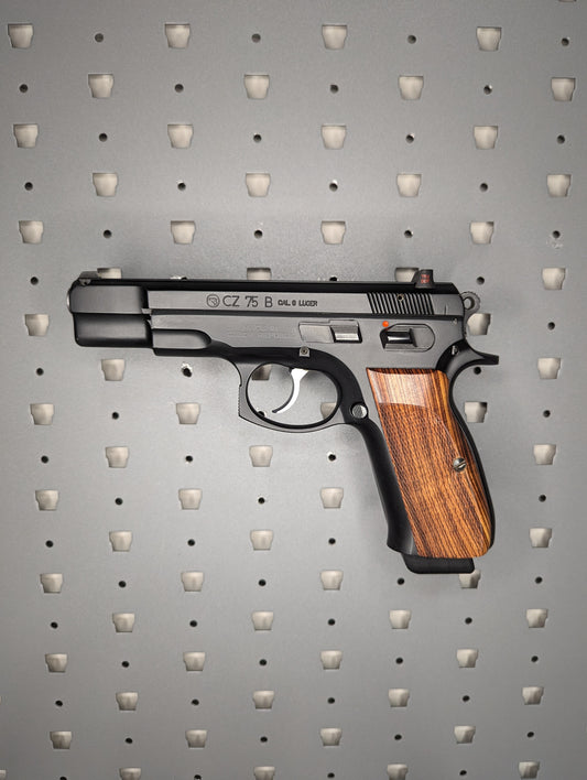 Magwell Mount for CZ 75/85/P01/P09/P10/PCR/SP01/Shadow/Kadet and Jericho - GallowTech | Handgun Holder Storage Rack